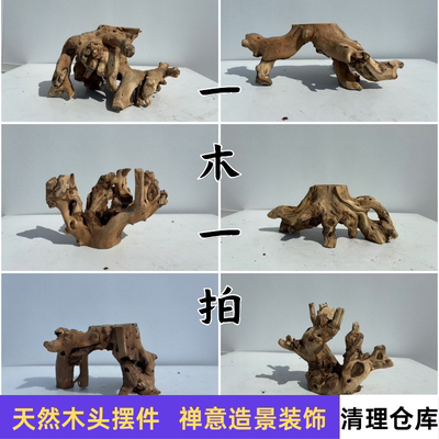 枯木造景拍摄摆件装饰