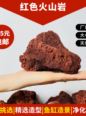 红火山岩石大块园艺培菌造景水族箱罗汉鱼缸铺面石过滤石头包邮