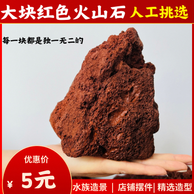 鱼缸造景火山石天然大块装饰精选
