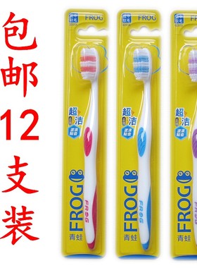 一盒12支青蛙牙刷 波浪中毛成人硬毛牙刷清洁牙齿清新口气615A