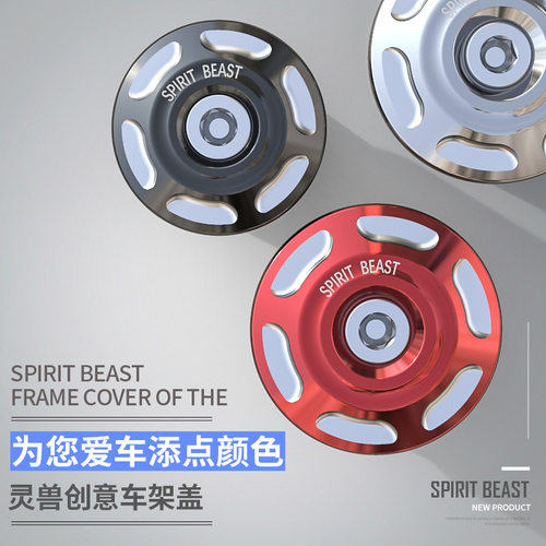 车架盖适用黄龙300贝纳利502C
