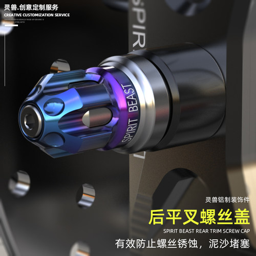 适用雅马哈摩托车改装后平叉螺丝