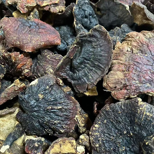 西藏野生大号灵芝正宗深山特级泡酒煲汤中药材煮水泡茶整朵赤灵芝