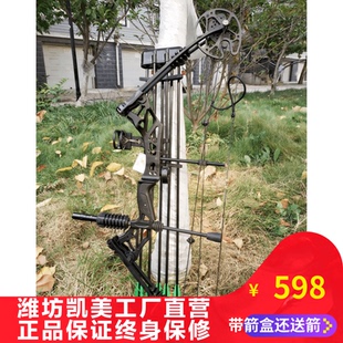 复合弓箭反曲弓猎弓滑轮复合弓箭凯美汉野外射击弓箭户外射箭器材