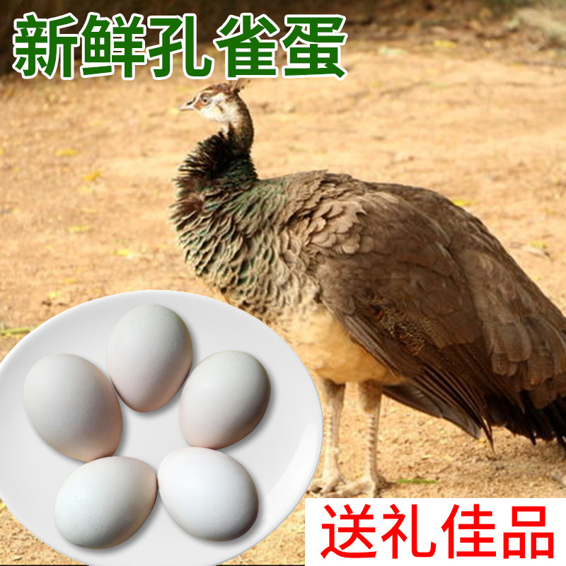li先生农场 新鲜可食用孔雀蛋盒装送人孕妇滋补礼品蓝孔雀蛋6枚