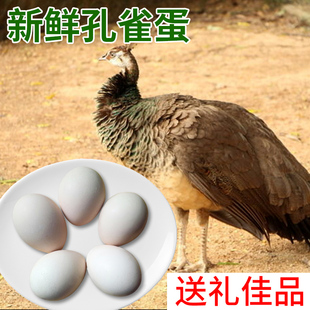 Li先生农场 送人孕妇滋补礼品蓝孔雀蛋6枚 新鲜可食用孔雀蛋盒装