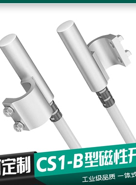 CS1-B1 B2 B3 B4 B5磁性开关SI SU气缸感应器二线磁簧式传感器24V