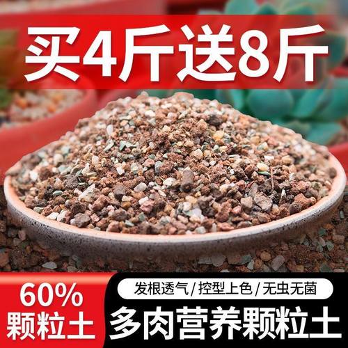 多肉土颗粒土多肉专用植物营养土壤泥炭种植土泥铺面石纯花土盆栽