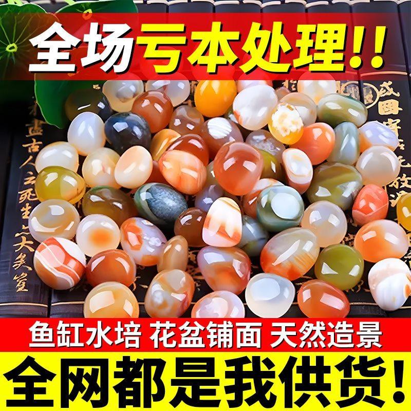 玛瑙石天然鱼缸造景石五彩石水培花盆栽鹅卵石小石头小彩雨花石,鲜花速递/花卉仿真/绿植园艺,土壤覆盖物,淘宝优惠券,粉丝福利购,淘宝优惠卷