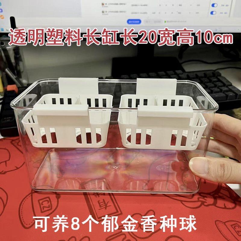 水培郁金香花盆含定植篮水养种球玻璃器皿方便换水透明郁金香花瓶,鲜花速递/花卉仿真/绿植园艺,花架,淘宝优惠券,粉丝福利购,淘宝优惠卷