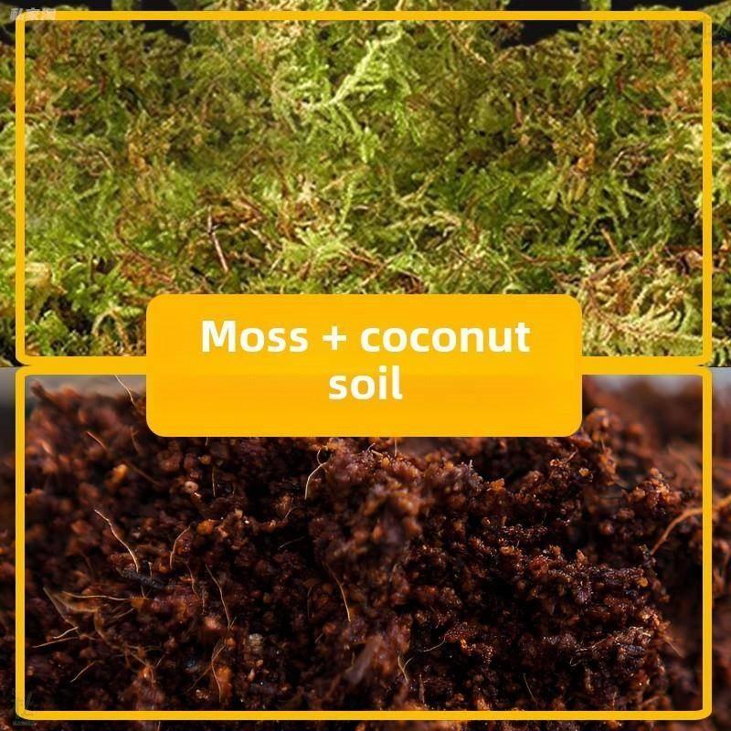 乌龟冬眠土爬宠椰土免泡巴西龟草龟角蛙寄居蟹过冬保暖苔藓饲养箱,鲜花速递/花卉仿真/绿植园艺,家庭园艺肥料,淘宝优惠券,粉丝福利购,淘宝优惠卷