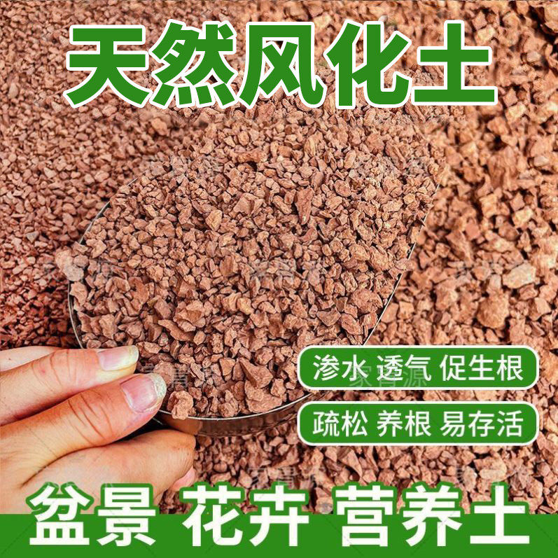 天然风化石颗粒土风化土盆景专用风化土金弹子营养土多肉铺面石头,鲜花速递/花卉仿真/绿植园艺,土壤覆盖物,淘宝优惠券,粉丝福利购,淘宝优惠卷