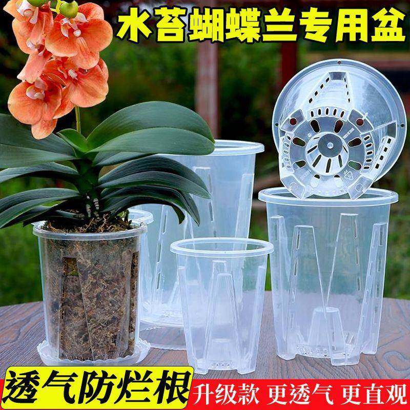 透明青山控根盆兰花水苔蝴蝶兰专用花盆塑料透气镂空大号家用树脂,鲜花速递/花卉仿真/绿植园艺,花盆,淘宝优惠券,粉丝福利购,淘宝优惠卷