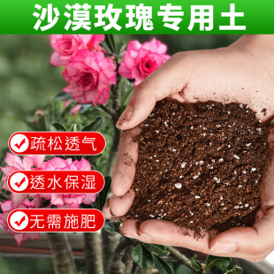 沙漠玫瑰专用营养土花卉种植土疏松肥料家用盆栽种花园艺泥炭土壤