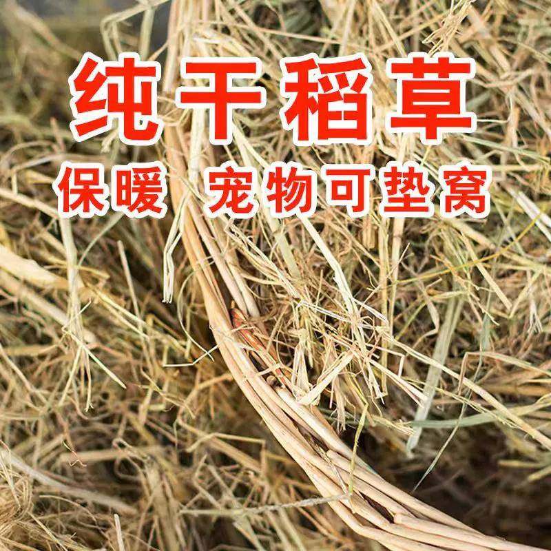 稻草垫窝保暖干净干燥东北小鸡保暖养兔子鸽子窝繁鸽子窝垫草垫子,鲜花速递/花卉仿真/绿植园艺,打草绳等其他绳子,淘宝优惠券,粉丝福利购,淘宝优惠卷