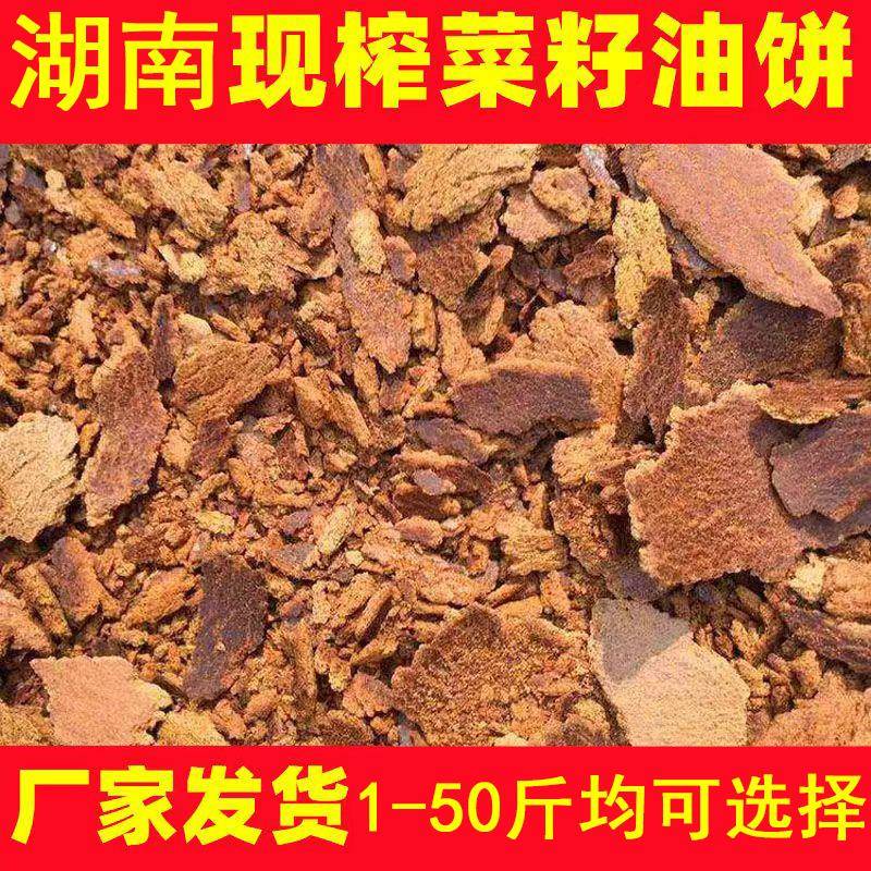 湖南农家自榨菜籽油饼菜油枯花生枯芝麻饼窝料菜子饼钓鱼打窝包邮