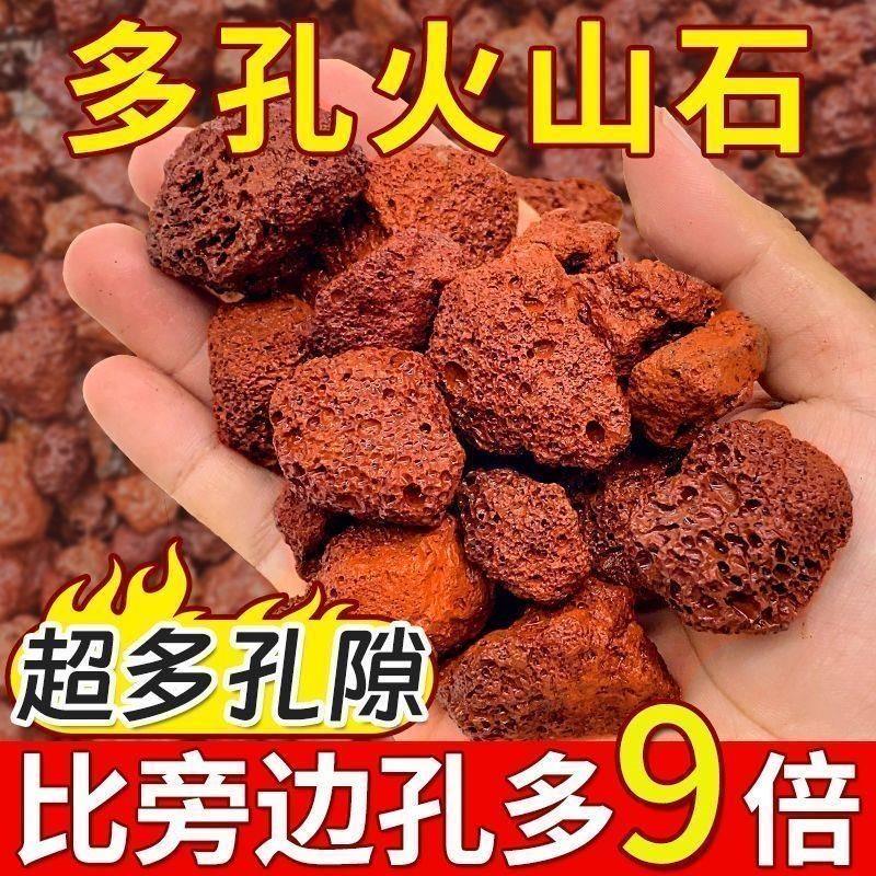 火山石颗粒兰花专用铺面石营养土多肉盆栽火山岩底沙透气鱼缸造景,鲜花速递/花卉仿真/绿植园艺,土壤覆盖物,淘宝优惠券,粉丝福利购,淘宝优惠卷