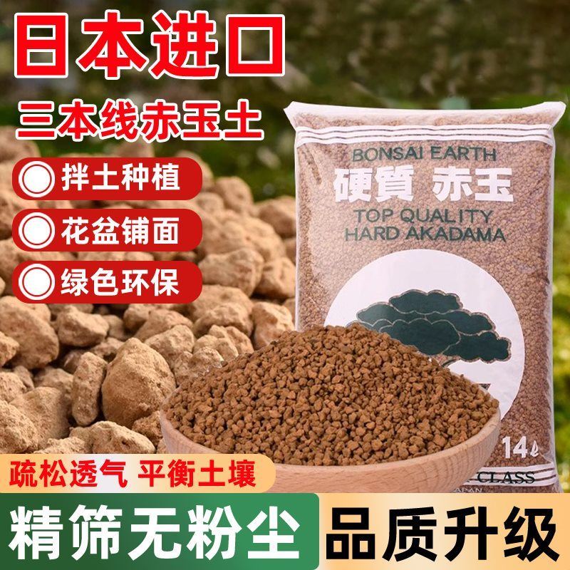 日本进口硬质赤玉土三本线 线多肉颗粒土壤拌土石爬宠铺面兰花颗