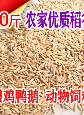 稻谷带壳谷子20斤水稻稻子100斤喂鸡鸭鹅鸽子鸟仓鼠宠物饲料