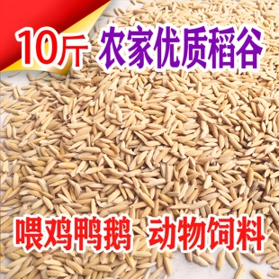 稻谷带壳谷子20斤水稻稻子100斤喂鸡鸭鹅鸽子鸟仓鼠宠物饲料