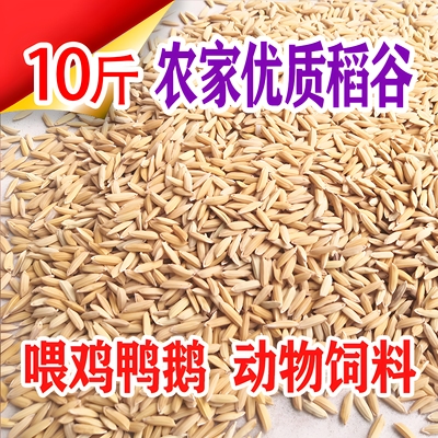 稻谷带壳谷子20斤水稻稻子100斤喂鸡鸭鹅鸽子鸟仓鼠宠物饲料