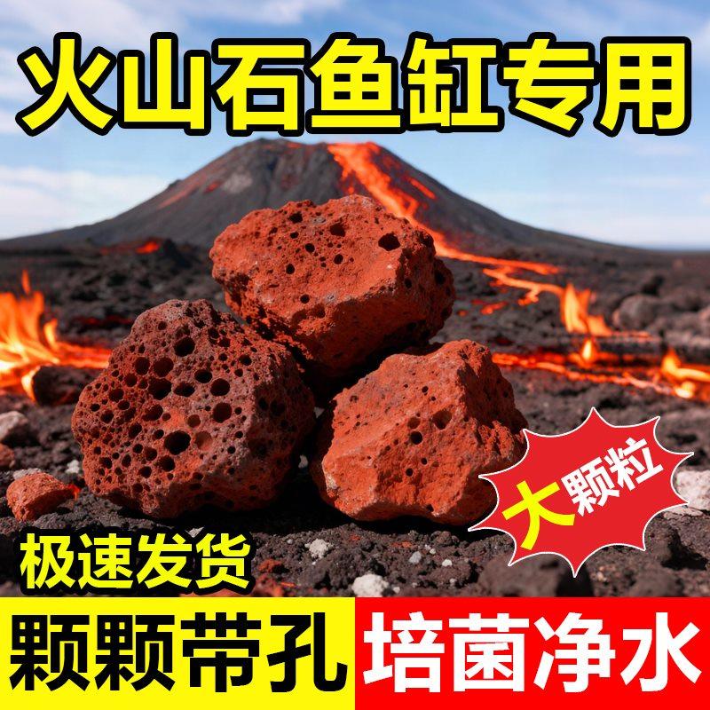 火山石盆栽铺面颗粒多肉颗粒土天然鱼缸底砂石火山岩营养土通用型,鲜花速递/花卉仿真/绿植园艺,介质/营养土,淘宝优惠券,粉丝福利购,淘宝优惠卷