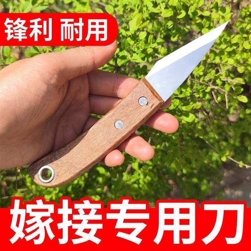 折叠果树嫁接刀专用锋钢5CR木柄芽接刀单面左右手刀园林园艺工具,鲜花速递/花卉仿真/绿植园艺,芽接刀,淘宝优惠券,粉丝福利购,淘宝优惠卷