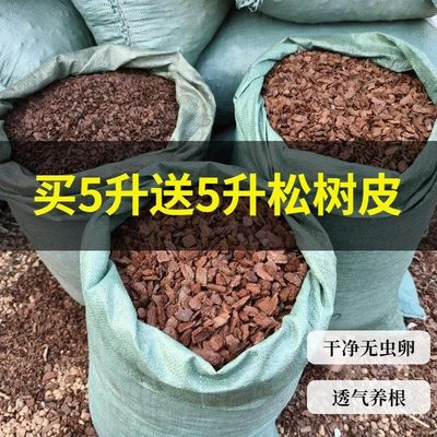 发酵松树皮兰科植物专用蝴蝶兰花石斛蓝莓养根透气颗粒营养土松鳞