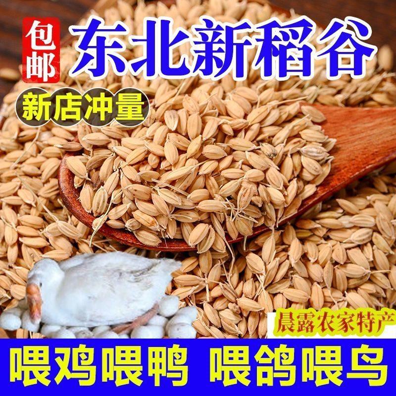 东北稻谷100斤稻谷50斤特价带壳稻谷20斤鸡鸭鸽宠物饲料10斤,畜牧/养殖物资,畜牧/养殖饲料,淘宝优惠券,粉丝福利购,淘宝优惠卷