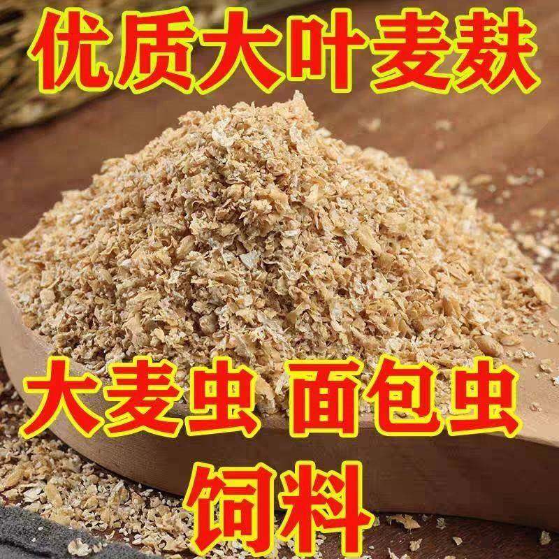 麦麸饲料小麦麸鸡鸭鹅虫吃粗细麦麸饲料麦麸喂鸡钓鱼打窝饵料热敷,畜牧/养殖物资,饲料原料,淘宝优惠券,粉丝福利购,淘宝优惠卷