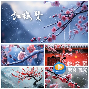 S6384《红梅赞》歌曲MV 伴奏歌词 歌曲MV晚会LED大屏背景视频素材