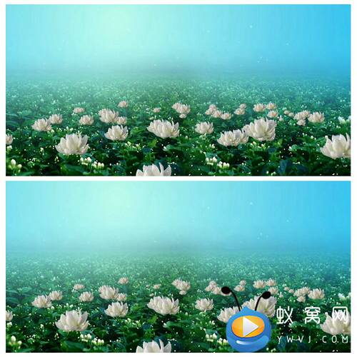 S3101 六月茉莉 少儿节目晚会舞台舞美LED动态背景视频素材
