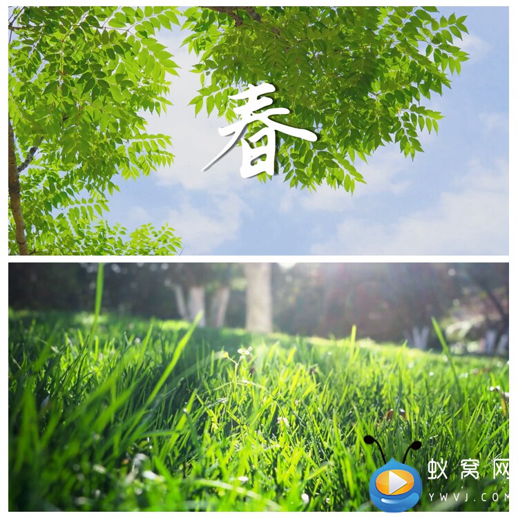 S4565《春》朱自清 经典 散文 诗歌朗诵演讲背景LED大屏视频素材
