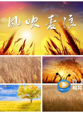 S5430《风吹麦浪》叶一茜伴奏 励志年会晚会演出LED背景视频素材