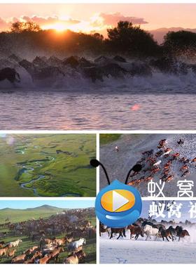 S6311《万马奔腾》蒙族 蒙古草草赛马天马峪河原蒙古背景视频素材