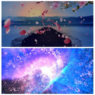 S3738 一路生花 花瓣 歌曲MV舞美 舞蹈舞台LED背景大屏视频素材