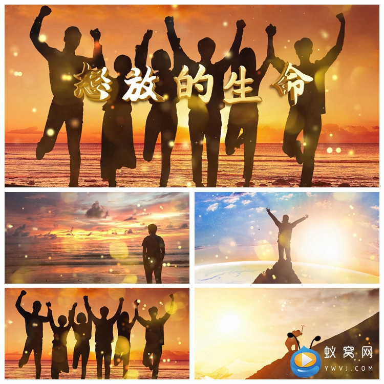 S1446 怒放的生命 歌曲 MV 配乐成品 LED节目 歌曲大背景视频素材