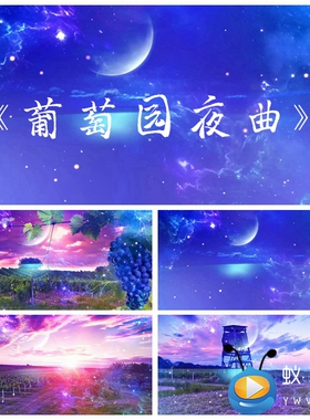 S2257 《葡萄园夜曲成品》 歌曲MV配乐节目舞美LED大屏背景视频素