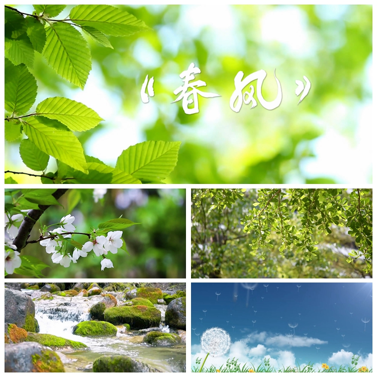 s2827春风 合唱 春天 春暖花开 mv 晚会led节目大屏 背景视频素材