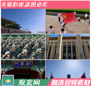 S115. 实拍党员入党军人大学生 职工 入党宣誓高清视频素材