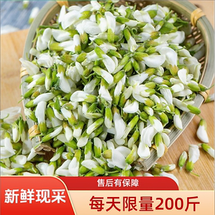 2026年新鲜现采槐花头茬农家刺槐米骨朵无添加蔬菜水饺窝头包邮