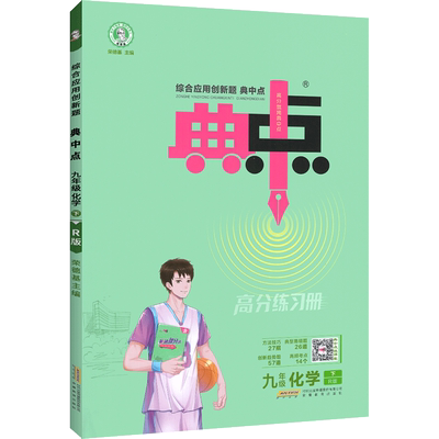 2025版典中点九年级下册化学人教版初中九下化学教材同步练习册初三 刷习题库化学提优课时作业本真题训练试卷荣德基点中点典