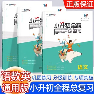 新版一飞冲天小升初全程总复习语文数学英语人教版精通版部编天津中考毕业升学系统总复习资料专项训练辅导书知识大集结教辅书