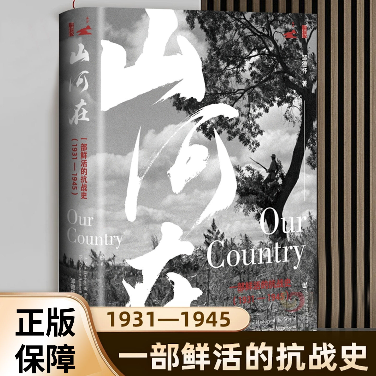山河在  一部鲜活的抗战史(1931—1945)历史书籍 全景梳理十四年抗战完整历史脉络抗战岁月家国民众故事时代历程民族精神历史记忆
