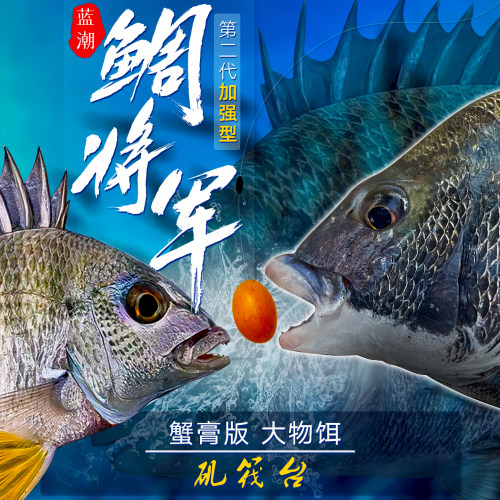 黑鲷黄脚立大物海钓饵鲷将军二代