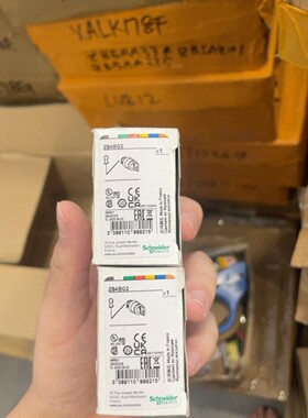 施耐德金属钥匙ZB4BG2