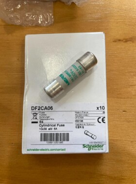 施耐德保险丝 DF2CA06