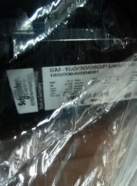 SM-100/30/080/P1/45/S1/B1，ELAU