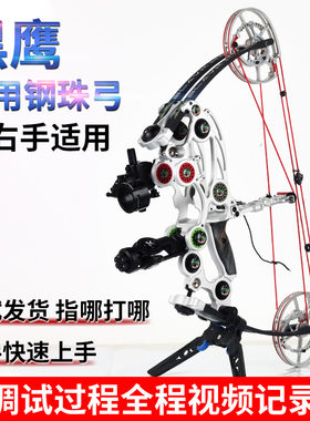 黑鹰二代复合弓 外星人户外射箭高准度两用弓 短轴射击三角钢珠弓