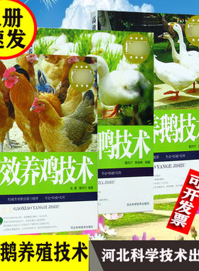 现货包邮三册高效养鸡技术